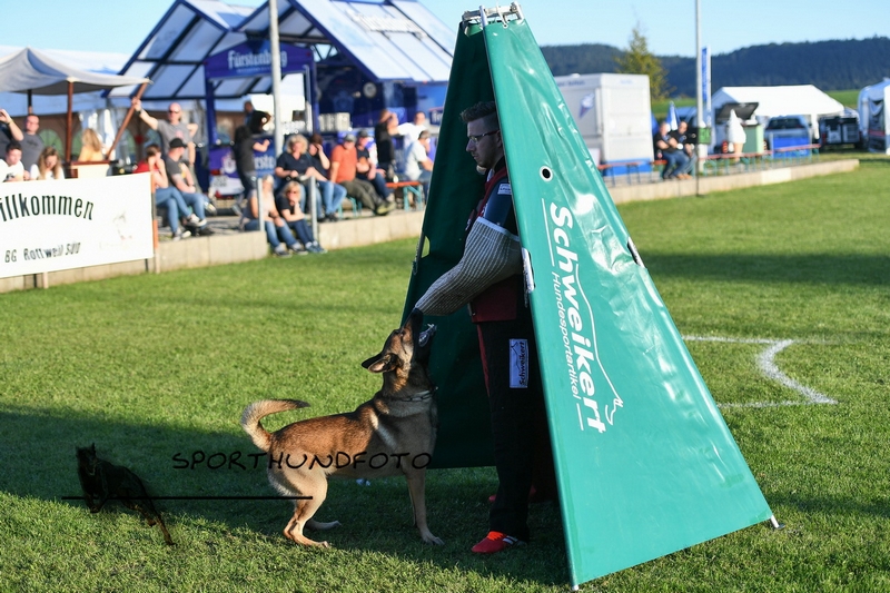 Impressionen 421.jpg